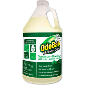 Concentrated Odor Eliminator And Disinfectant, Eucalyptus, 1 Gal Bottle