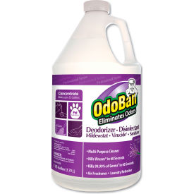 Concentrate Odor Eliminator And Disinfectant, Lavender Scent, 1 Gal Bottle, 4/Carton