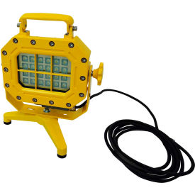 40W LED Portable Hazardous Location Floodlight on Floor Stand