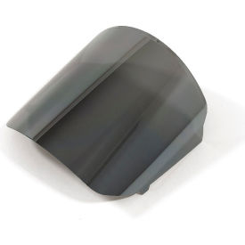 Z Link Mirror Tint Safety Lens