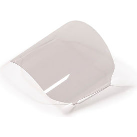 ZLink Safety Lens