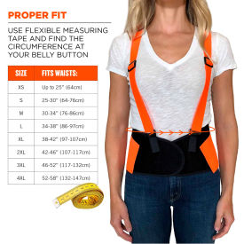ProFlex 100 Economy Hi-Vis Back Support, Orange, Large