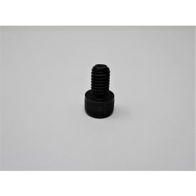 Shcs M6X10Mm