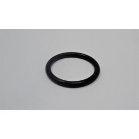 O-Retainer Ring (19.8X2.4) , 9180-197
