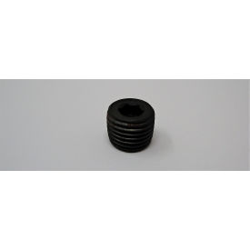 Plug Z1/4