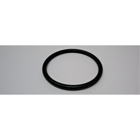 O-Ring, FK350-232