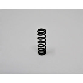 Regulator Spring