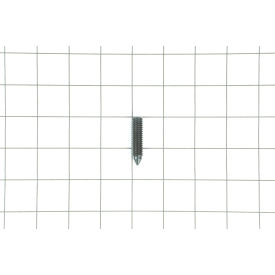 Screw Cone Point, 6285942
