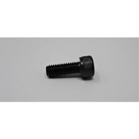 Socket Head Cap Screw M6X1.0Px12Lg