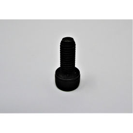 Cap Screw M5 X 0.8P X 10Lg (Pfeeders)