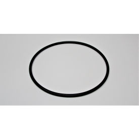 O-Ring, 6289144