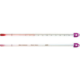 Dry Block/Incubator Liquid-In-Glass Thermometer, 0 to 70C, Safety Coated, 150mm Immersion