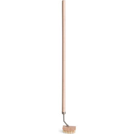 Bel-Art Cleanware Bottle Brush, For Necks Larger Than 1"