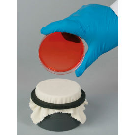 Colony Replica-Plating Device for Petri-Dishes