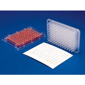 Colony Replicating Tool for 96-Well Plates (Bel-Blotter), Polycarbonate
