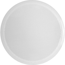 Polyethylene Perforated Filter Plate, for 24" I.D. Buchner Funnels