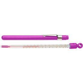 Pocket Liquid-In-Glass Thermometer, -10 to 110C (0 to 220F), Closed Plastic Case