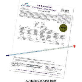 Liquid-In-Glass Thermometer, -20 to 110C, Total Immersion