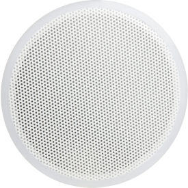 Polyethylene Perforated Filter Plate, for 18" I.D. Buchner Funnels