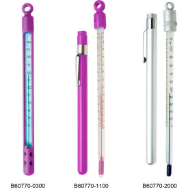 Pocket Liquid-In-Glass Thermometer, 20 to 120F, Closed Plastic Case