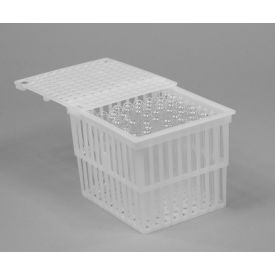 Polypropylene Test Tube Basket, 5 x 4 x 4", With Lid