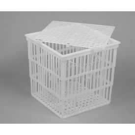 Polypropylene Test Tube Basket, 9 x 9 x 9", With Lid