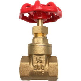 Heavy Pattern Brass Gate Valve - 1/2 IPS