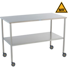 Stainless Steel Mobile Instrument Table, 48 x 24"