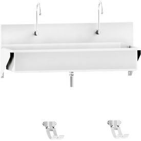 Double Station Windsor Scrub Sink, Wall Mounted with Foot Action Control, Stainless Steel