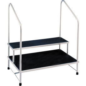 Step Stool 24" x 36" Double Step and Handrails MRI Safe