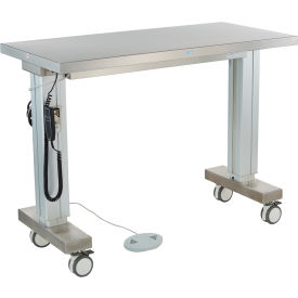 Stainless Steel Mobile Instrument Table, 50-1/2 x 24", Motorized Adjustable Height
