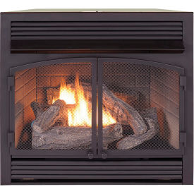 Dual Fuel Ventless Gas Fireplace Insert, 32000 BTU, T-Stat Control