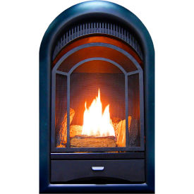 Dual Fuel Ventless Gas Fireplace Insert, Arched Door, 15000 BTU, T-Stat Control