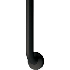 Snap Flange, Grab Bars, 18"W x 1-1/2"D, Stainless Steel, Black