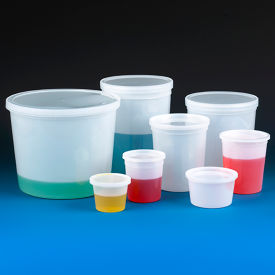 Multi-Purpose Container, 32 oz. (960mL), Polyethylene, Snap Lid, Natural, 100/Pack