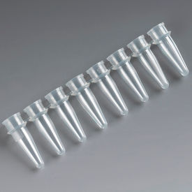 PCR Reaction Tube Strip, 0.2mL, Thin Wall, Polypropylene, Natural, 125/Pack