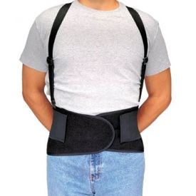 Economy Belt Back Support, Elastic, Large