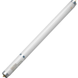 T8 Shatter Resistant Quantum Lamp 15W X 16"