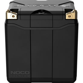 Group 30 Lithium Ion Powersports Battery, Rechargeable, 700A, 12.8V