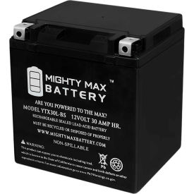 YTX30L 12V 30AH / 385CCA Battery