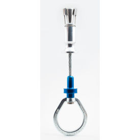EVO Removable Anchor W/ Swivel D Ring, 10-3/4"L