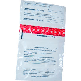 SECUR-ID, Patient Property Bag, 9" x 12", Small