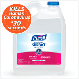 Foodservice Surface Sanitizer, Fragrance Free, 1 gal Bottle