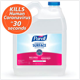 Foodservice Surface Sanitizer, Fragrance Free, 1 gal Bottle, 4/Carton