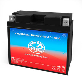 Chrome Powersports Replacement Battery, 12V, E