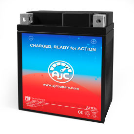 RP DS 450 450CC ATV Replacement Battery, 12V, B