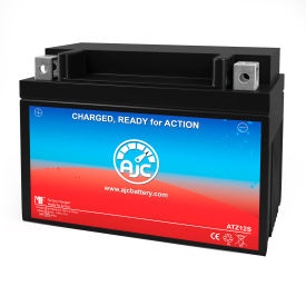 Interstate FAYTZ12S Powersports Replacement Battery, 12V
