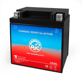 AJC® Replacement Battery 1984-1995, 12V, Black