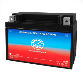 AJC&174; Extreme XTAX9-BS Replacement Battery, 12V, B