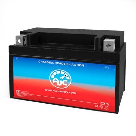 Lifan All 150CC Scooter and Moped Replacement Battery, 12V